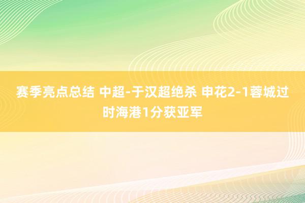 赛季亮点总结 中超-于汉超绝杀 申花2-1蓉城过时海港1分获亚军