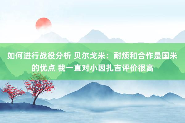 如何进行战役分析 贝尔戈米：耐烦和合作是国米的优点 我一直对小因扎吉评价很高