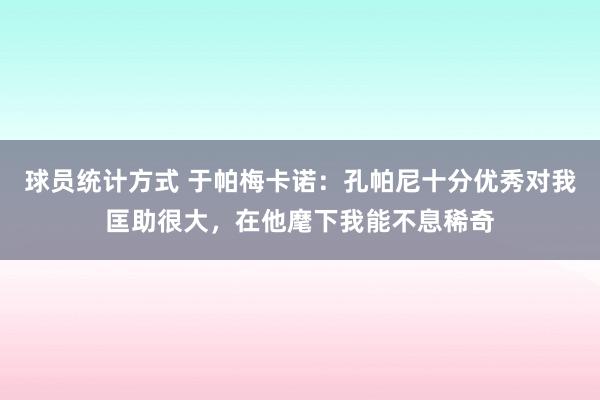 球员统计方式 于帕梅卡诺：孔帕尼十分优秀对我匡助很大，在他麾下我能不息稀奇