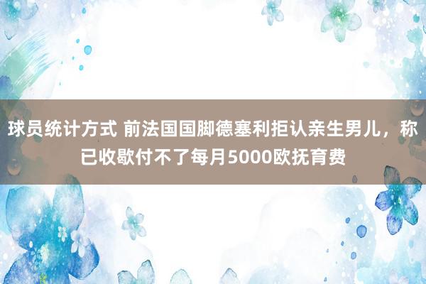 球员统计方式 前法国国脚德塞利拒认亲生男儿，称已收歇付不了每月5000欧抚育费