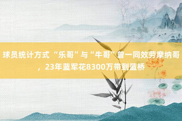 球员统计方式 “乐哥”与“牛哥”曾一同效劳摩纳哥，23年蓝军花8300万带到蓝桥