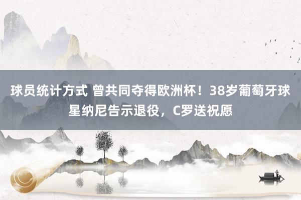 球员统计方式 曾共同夺得欧洲杯！38岁葡萄牙球星纳尼告示退役，C罗送祝愿