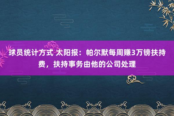 球员统计方式 太阳报：帕尔默每周赚3万镑扶持费，扶持事务由他的公司处理