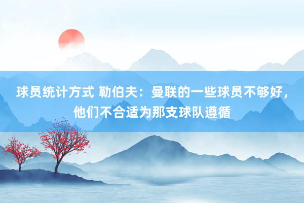 球员统计方式 勒伯夫：曼联的一些球员不够好，他们不合适为那支球队遵循