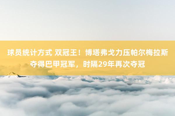 球员统计方式 双冠王！博塔弗戈力压帕尔梅拉斯夺得巴甲冠军，时隔29年再次夺冠