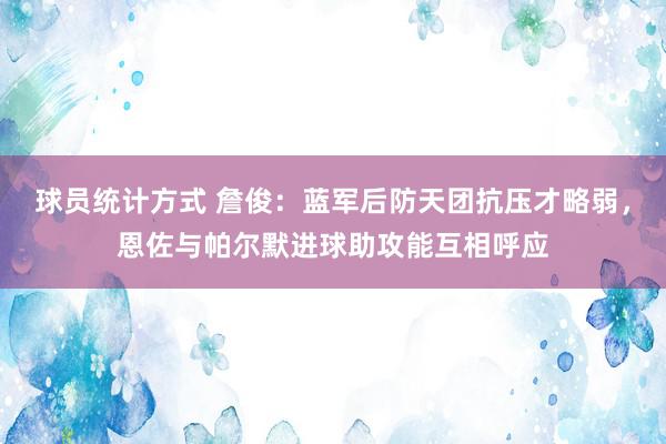 球员统计方式 詹俊：蓝军后防天团抗压才略弱，恩佐与帕尔默进球助攻能互相呼应