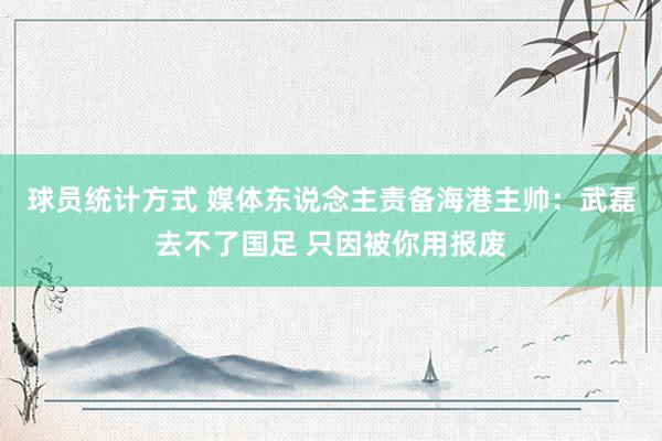 球员统计方式 媒体东说念主责备海港主帅：武磊去不了国足 只因被你用报废